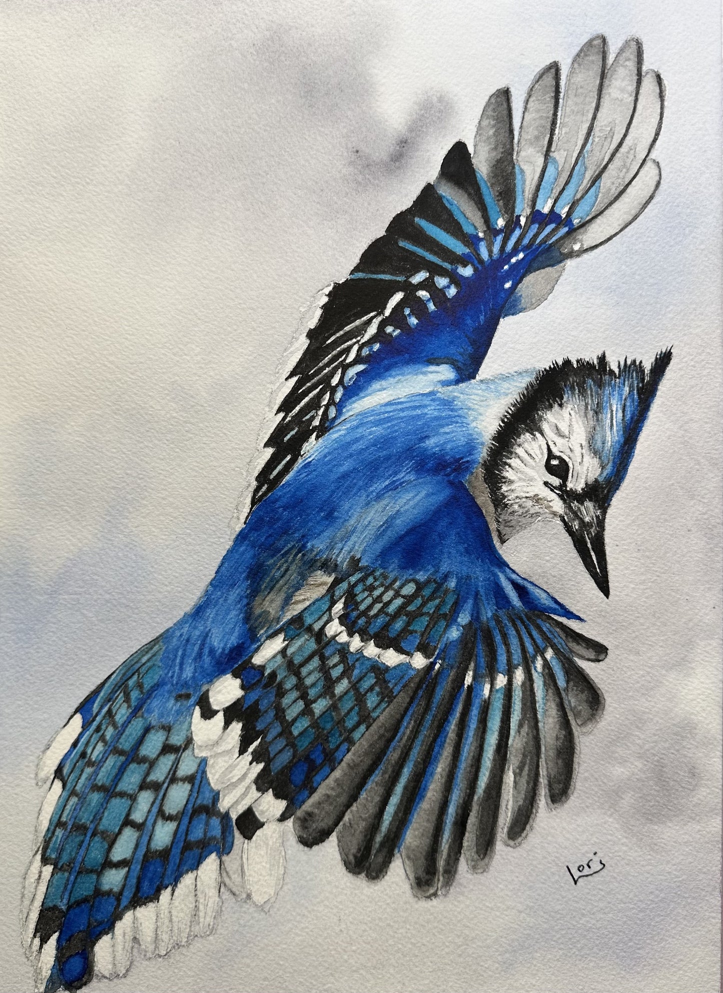 Blue Jay