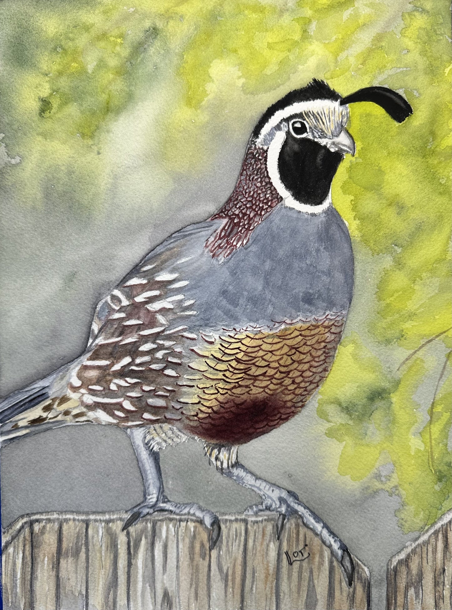 Quail perched on fence