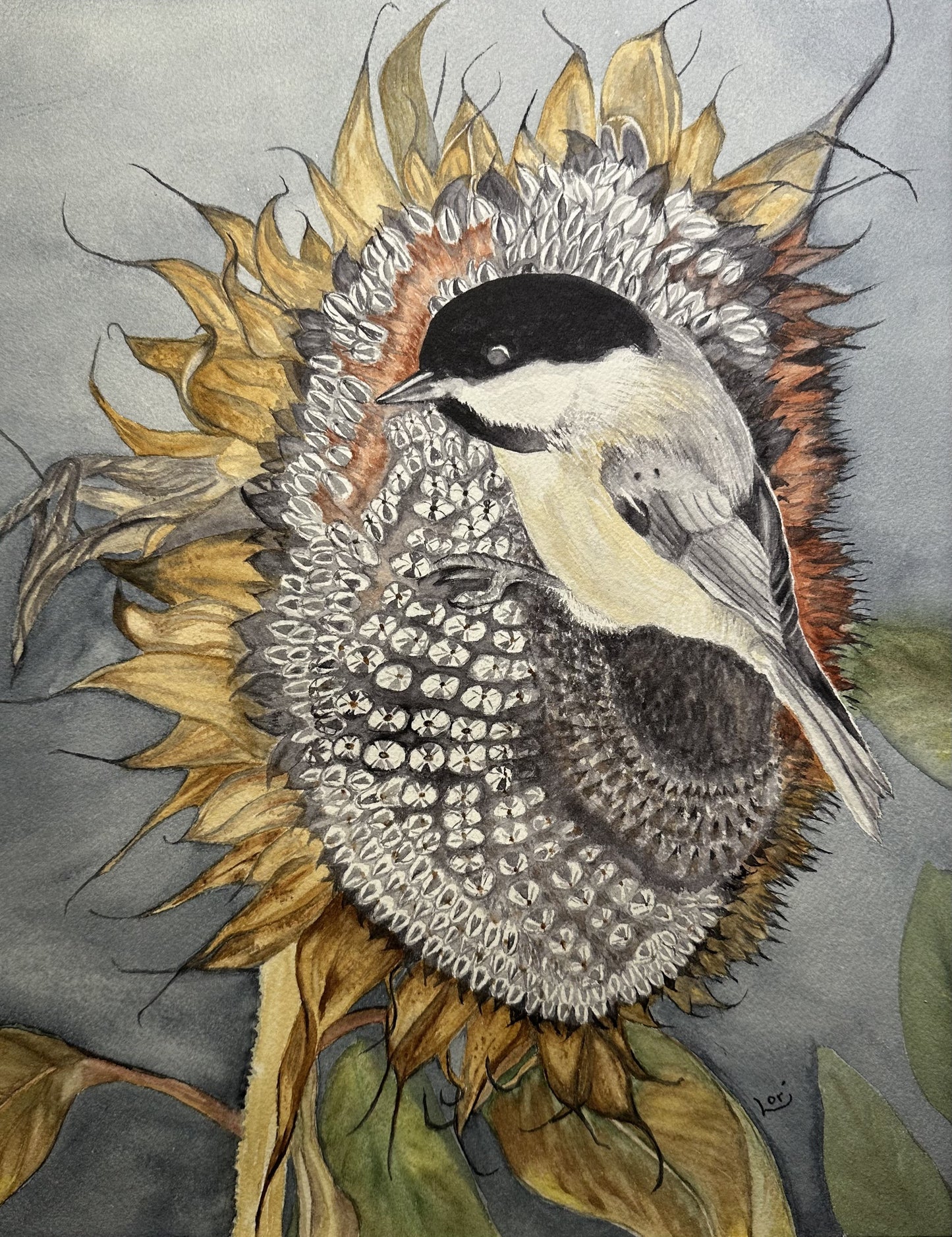 Chickadee on Sunflower