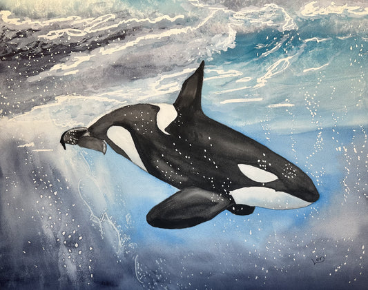 Diving Orca