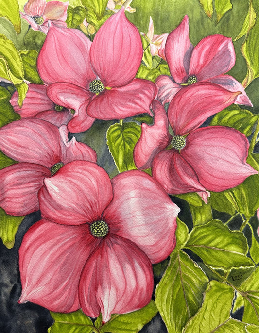 Pink Teacup Dogwood Watercolor