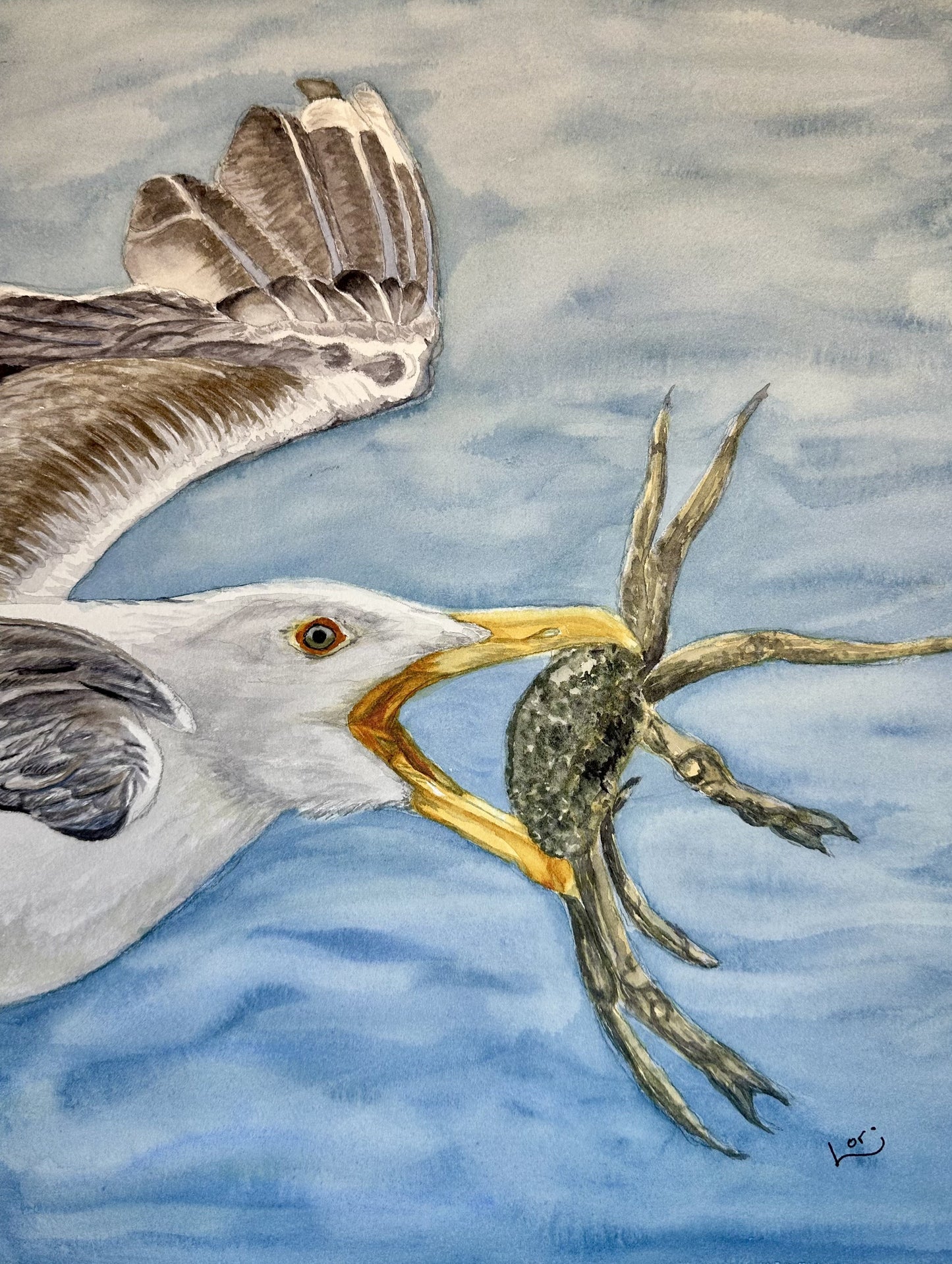 Seagull with crab