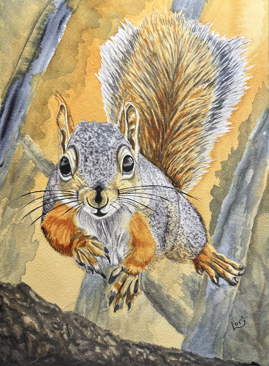 Squirrel!!