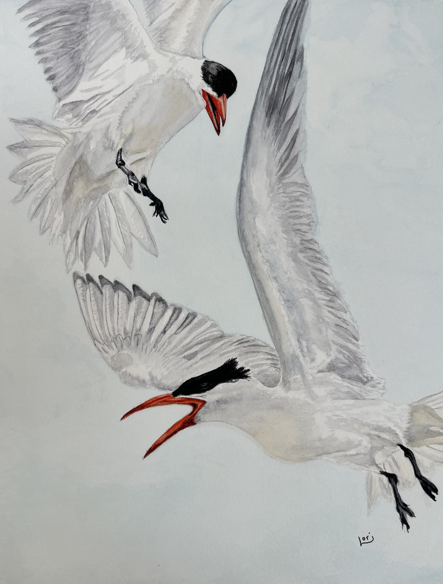 Caspian Turns Watercolor