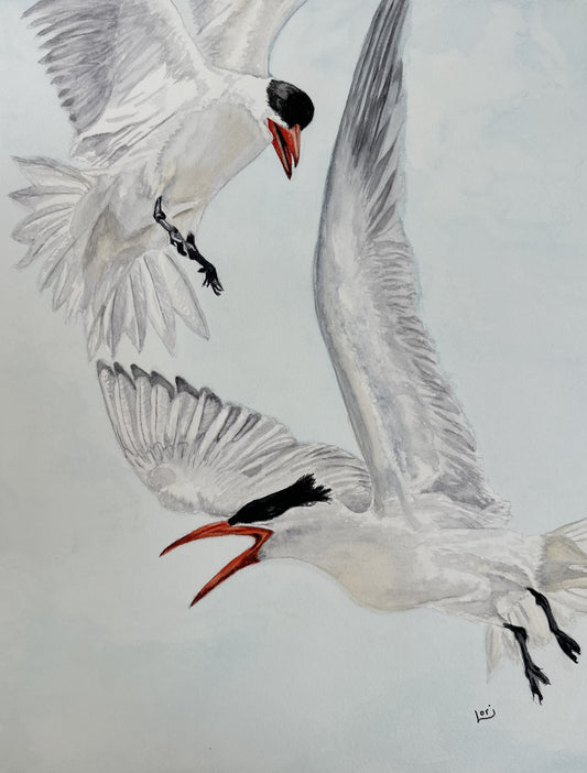 Caspian Turns Watercolor