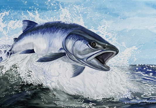 King Salmon Watercolor